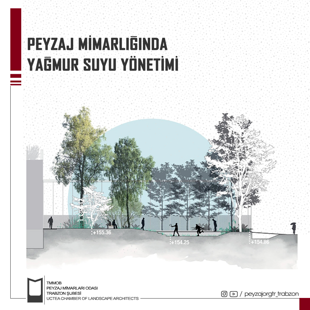 BLOG YAZI SERİSİ | PEYZAJ MİMARLIĞINDA YAĞMUR SUYU YÖNETİMİ