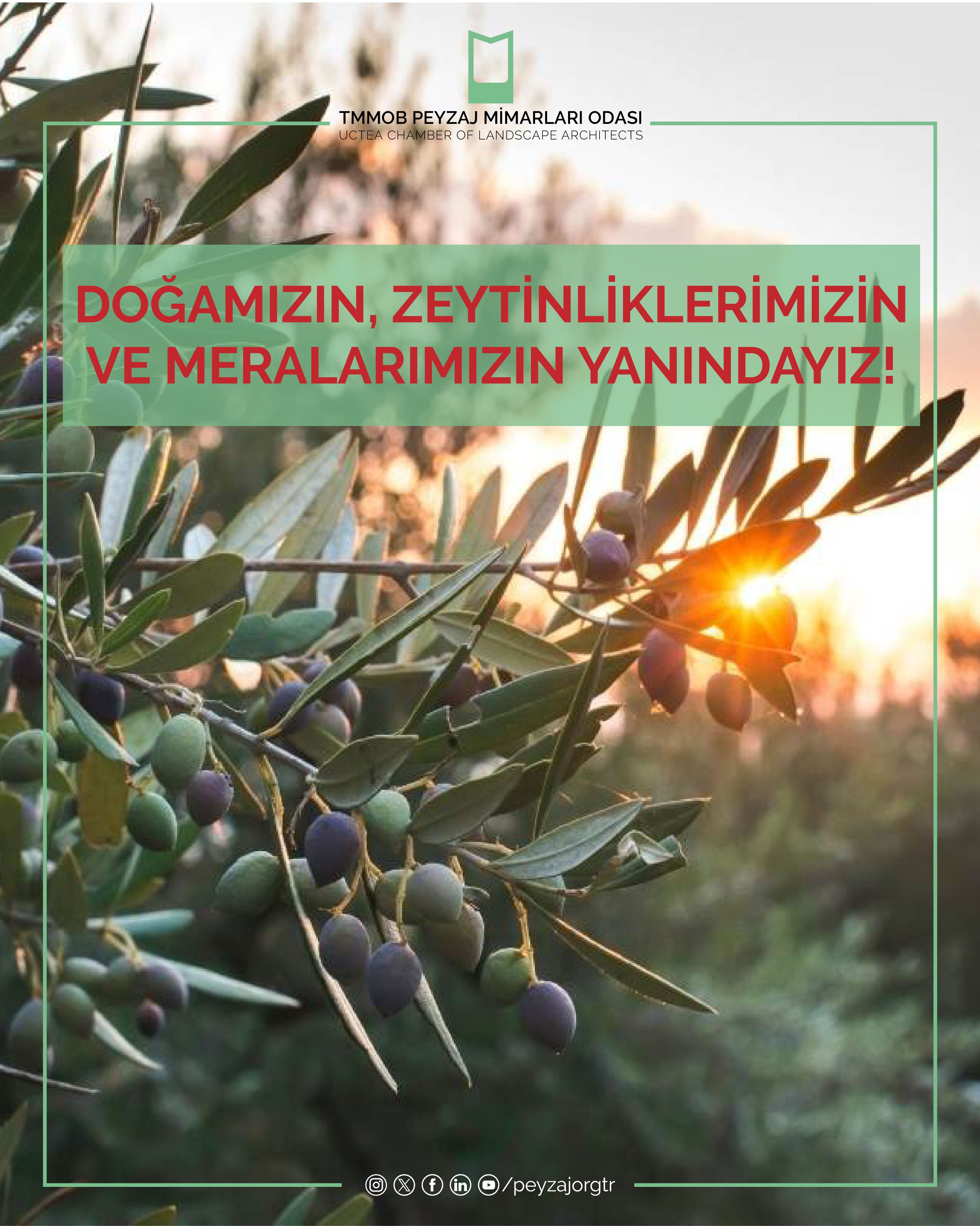 BASIN AÇIKLAMASI | DOĞAMIZIN, ZEYTİNLİKLERİMİZİN VE MERALARIMIZIN YANINDAYIZ!