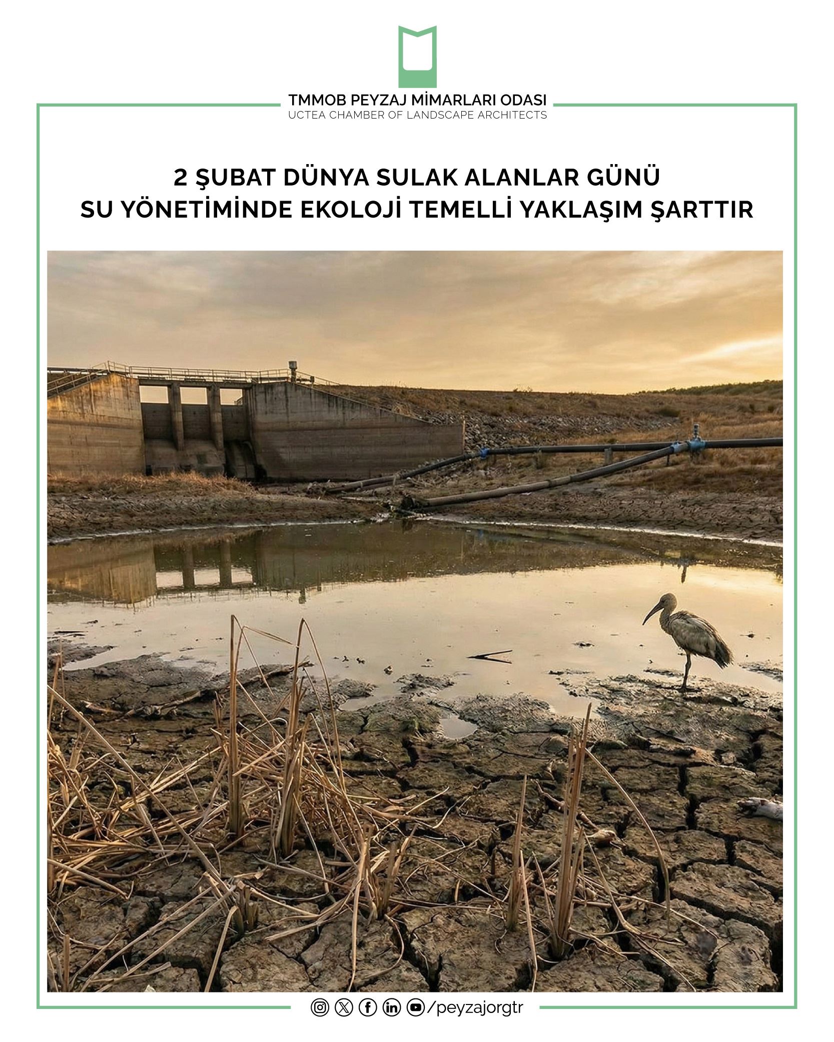 BASIN AÇIKLAMASI 2 ŞUBAT DÜNYA SULAK ALANLAR GÜNÜ | SU YÖNETİMİNDE EKOLOJİ TEMELLİ YAKLAŞIM ŞARTTIR