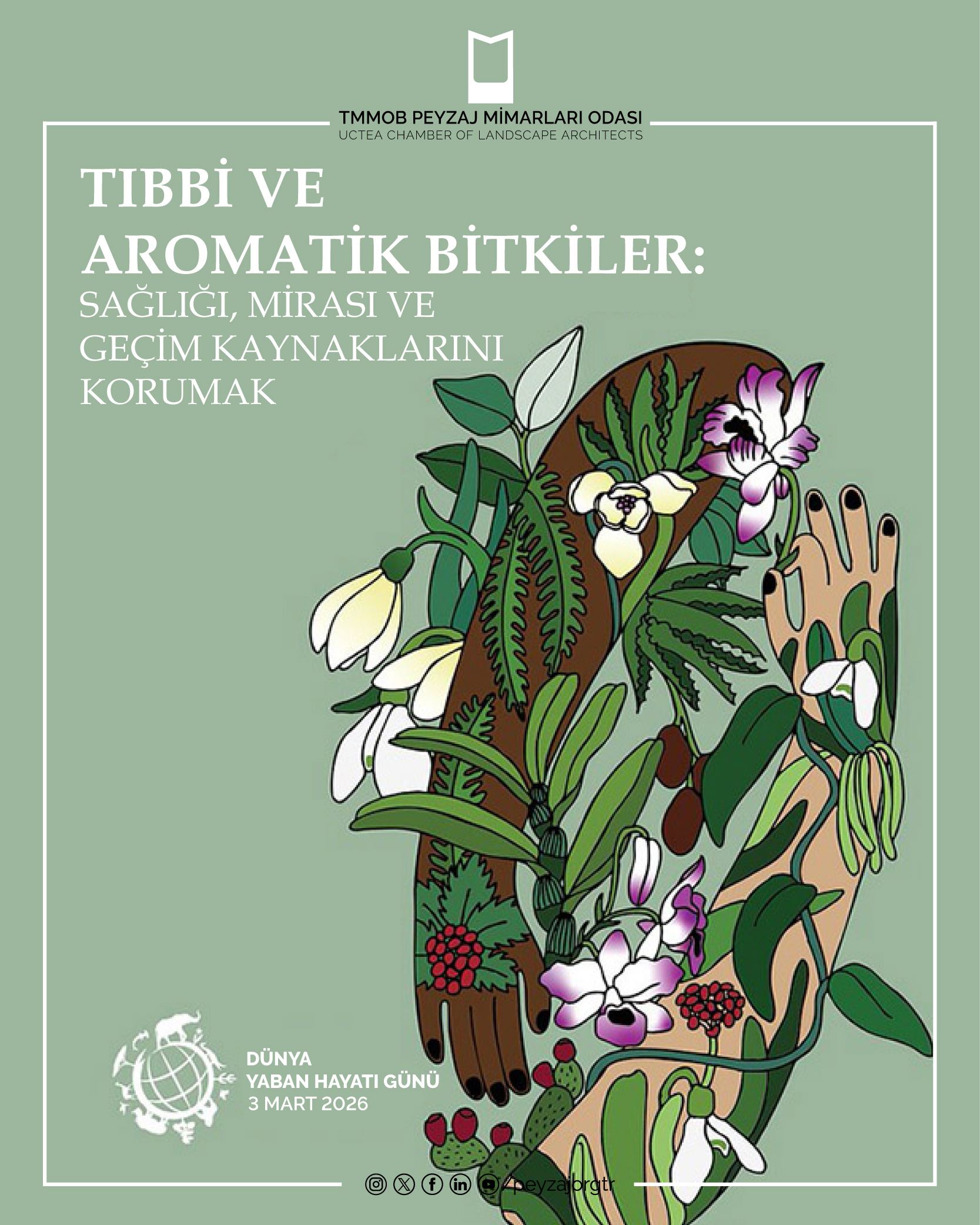 3 MART DÜNYA YABAN HAYATI GÜNÜ | TIBBİ VE AROMATİK BİTKİLER: SAĞLIĞI, MİRASI VE GEÇİM KAYNAKLARINI KORUMAK