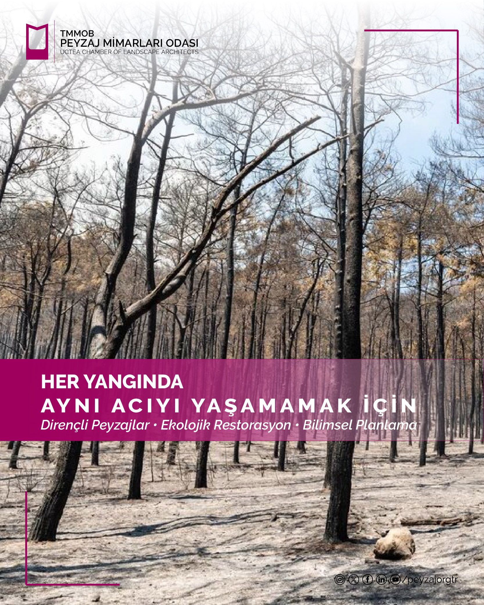 HER YANGINDA AYNI ACIYI YAŞAMAMAK İÇİN | DİRENÇLİ PEYZAJLAR • EKOLOJİK RESTORASYON • BİLİMSEL PLANLAMA