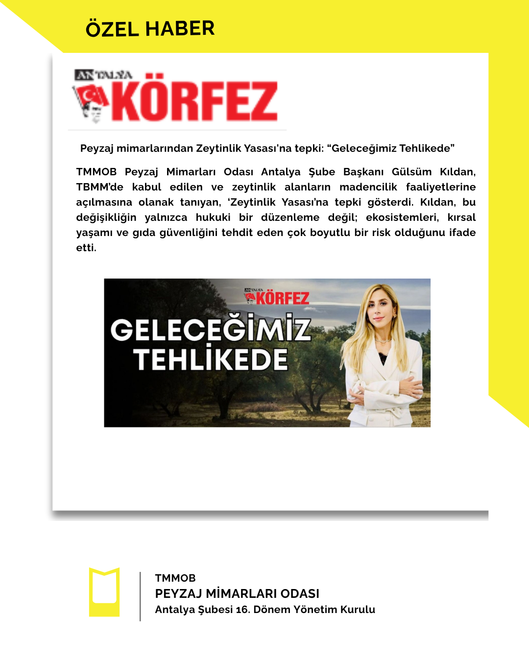 BASINDA ŞUBEMİZ | ÖZEL HABER ANTALYA KÖRFEZ GAZETESİ-PEYZAJ MİMARLARINDAN ZEYTİNLİK YASASI'NA TEPKİ: “GELECEĞİMİZ TEHLİKEDE”