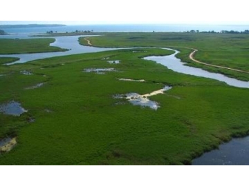 İĞNEADA - LONGOZ ORMANINDA TERMİK SANTRAL YAPIMI GÖRÜŞMELERİ DEVAM EDİYOR

