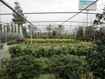 SAPANCA TEKNİK GEZİMİZİ GERÇEKLEŞTİRDİK