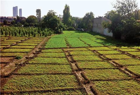 BOSTANDAN 3 PLAN ÇIKTI - RADİKAL / 20.08.2013