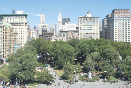 23 EYLÜL 2013 MİLLİYET/ AĞAÇ TARTIŞMASI MEYDANLARA İNDİ