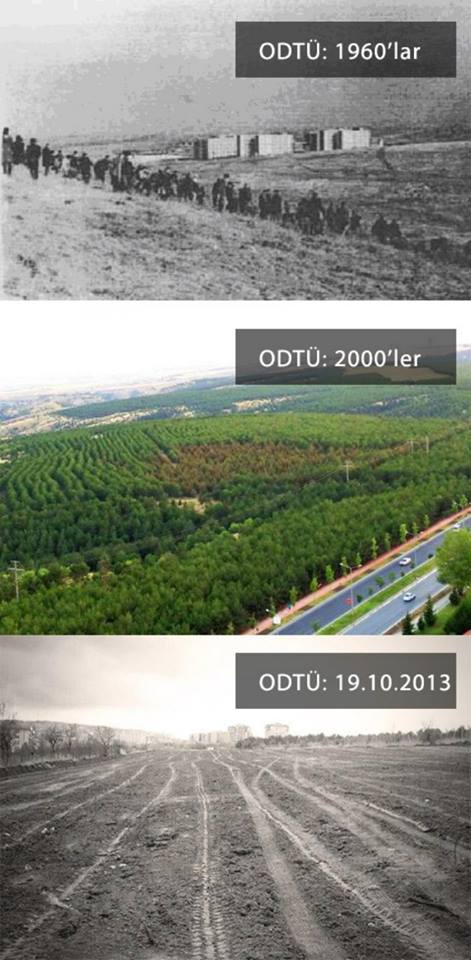 ODTÜ’DEN MESAJ VAR… RANTIN YOLUNA 5000 FİDAN DİKİYORUZ
