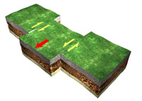 ÜLKE DEPREMLE SARSILIRKEN DEPREM HAKKINDA TEMEL BİLGİLER