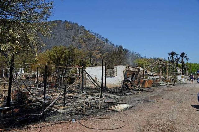 ORMANLARIMIZI KORUYAMADIĞIMIZ SÜRECE BU ÜLKENİN KAYNAKLARINA İHANET EDİLİYOR!!!!....