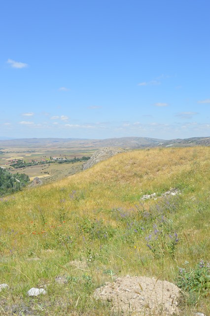 ODAMIZ 8.YAZ OKULU İÇİN ÇALIŞMALAR BAŞLADI