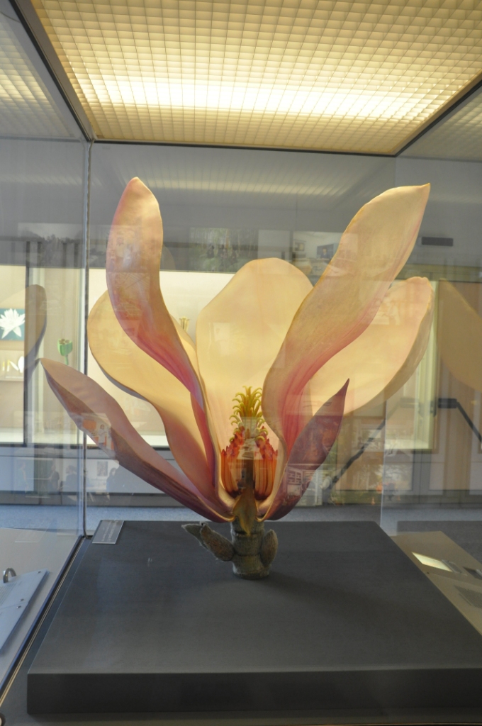 TMMOB PEYZAJ MIMARLARI ODASI İSTANBUL ŞUBESI 9-12 EKİM 2014 BERLİN TEKNİK GEZİ