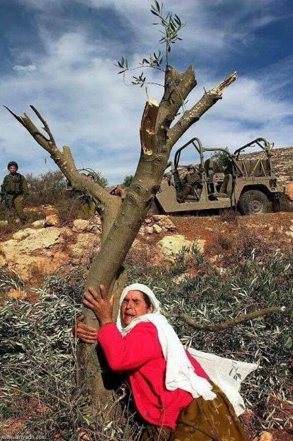 6000 CAN, 6000 TARİH TANIĞI, 6000 BARIŞ SİMGESİ KATLEDİLDİ...