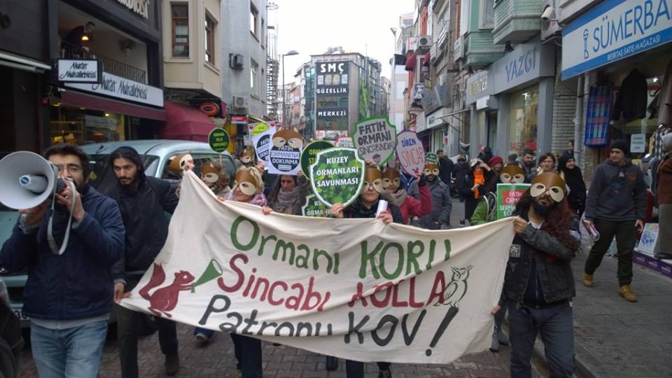 DİREN FATİH ORMANI!...