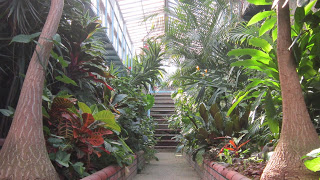 13 MAYIS ULUSAL PEYZAJ MİMARLIĞI GÜNÜ KAPSAMINDA İSTANBUL ÜNİVERSİTESİ ALFRED HEİLBRONN BOTANİK BAHÇESİ TEKNİK GEZİSİ GERÇELEŞTİRİLECEKTİR