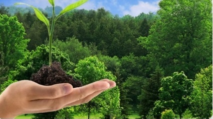 13 MAYIS ULUSAL PEYZAJ MİMARLIĞI GÜNÜ KAPSAMINDA “ HATIRA ORMANI” AĞAÇ DİKİM TÖRENİ GERÇEKLEŞTİRİLECEKTİR