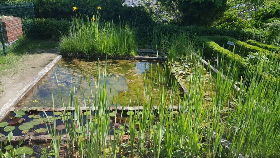 İSTANBUL ÜNİVERSİTESİ ALFRED HEİLBRONN BOTANİK BAHÇESİ TEKNİK GEZİMİZİ GERÇEKLEŞTİRDİK.