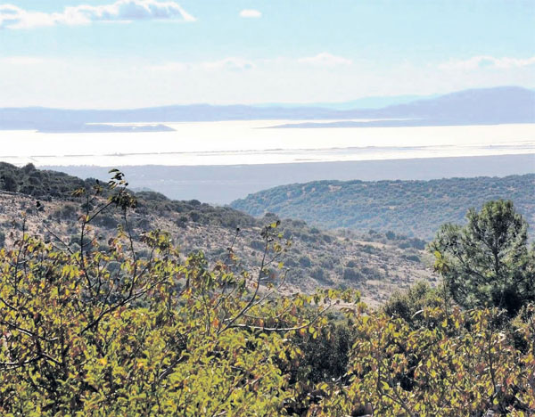 KATI ATIK BERTARAF TESİSİNE KARŞIYIZ