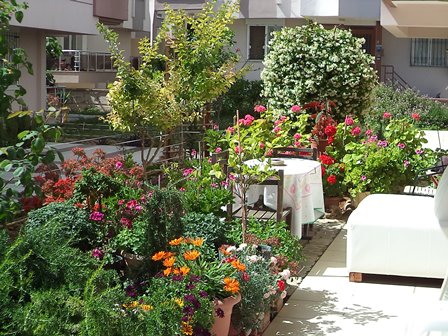 "BALKON VE BAHÇE GÜZELLERİNİ SEÇİYORUZ " YARIŞMASI SONUÇLANDI 