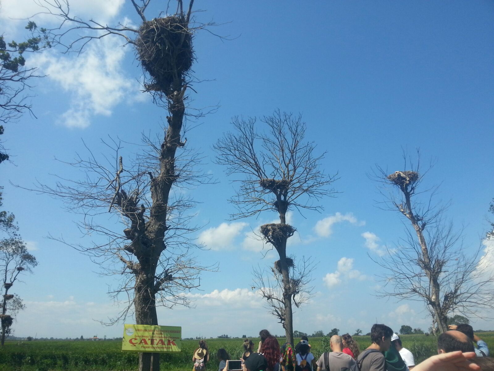 ODAMIZ PMOGENÇ  9. YAZ KAMPI SAMSUN`DA BAŞLADI