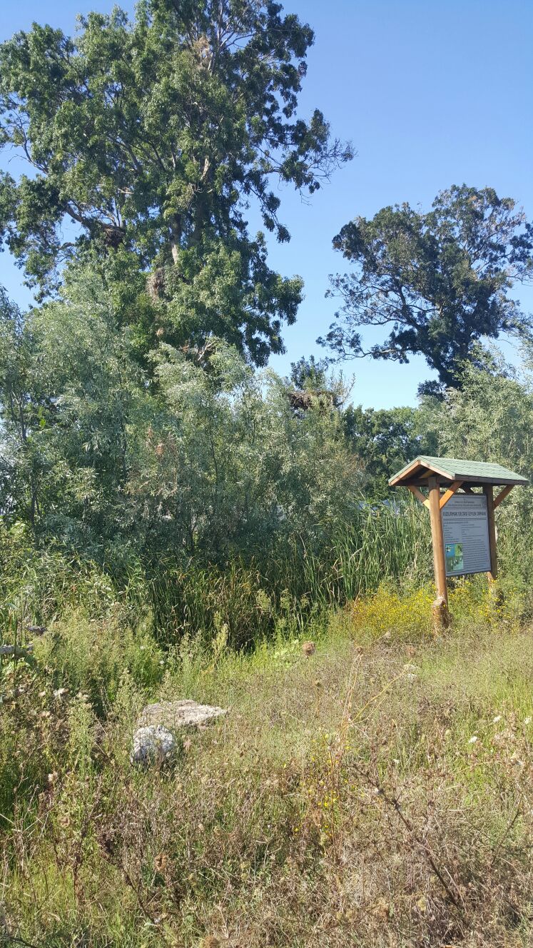 ODAMIZ PMOGENÇ 9.YAZ KAMPI’NI ZİYARET ETTİK