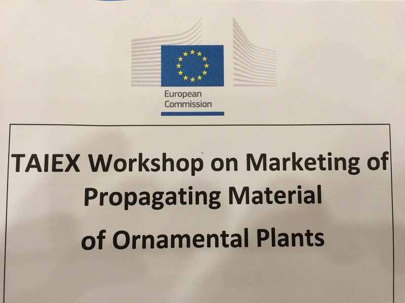 SÜS BİTKİLERİ STANDARTLARI OLUŞTURMA ÇALIŞMALARI DEVAM ETMEKTEDİR