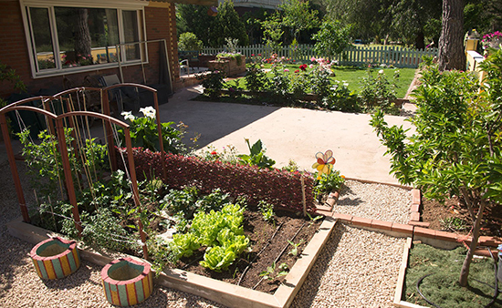 ANTALYA`NIN EN GÜZEL BAHÇE VE BALKONLARI BELLİ OLDU 