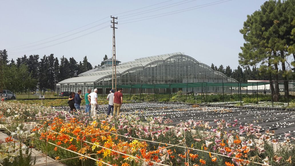 YALOVA GARDEN A.Ş. VE ATATÜRK BAHÇE KÜLTÜRLERİ MERKEZ ARAŞTIRMA ENSTİTÜSÜNÜ ZİYARET ETTİK