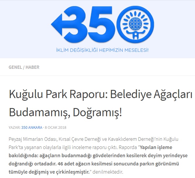 KUĞULU PARK RAPORU: BELEDİYE AĞAÇLARI BUDAMAMIŞ, DOĞRAMIŞ! 08.01.2018 / 350ANKARA