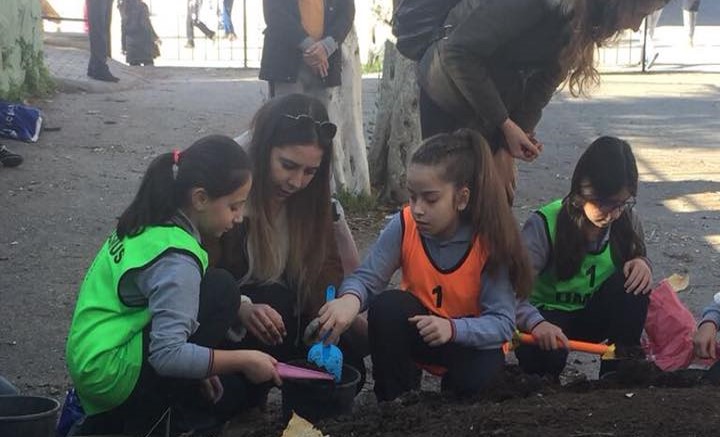 ETKİNLİK | BİR UMUT BİR PALAMUT
