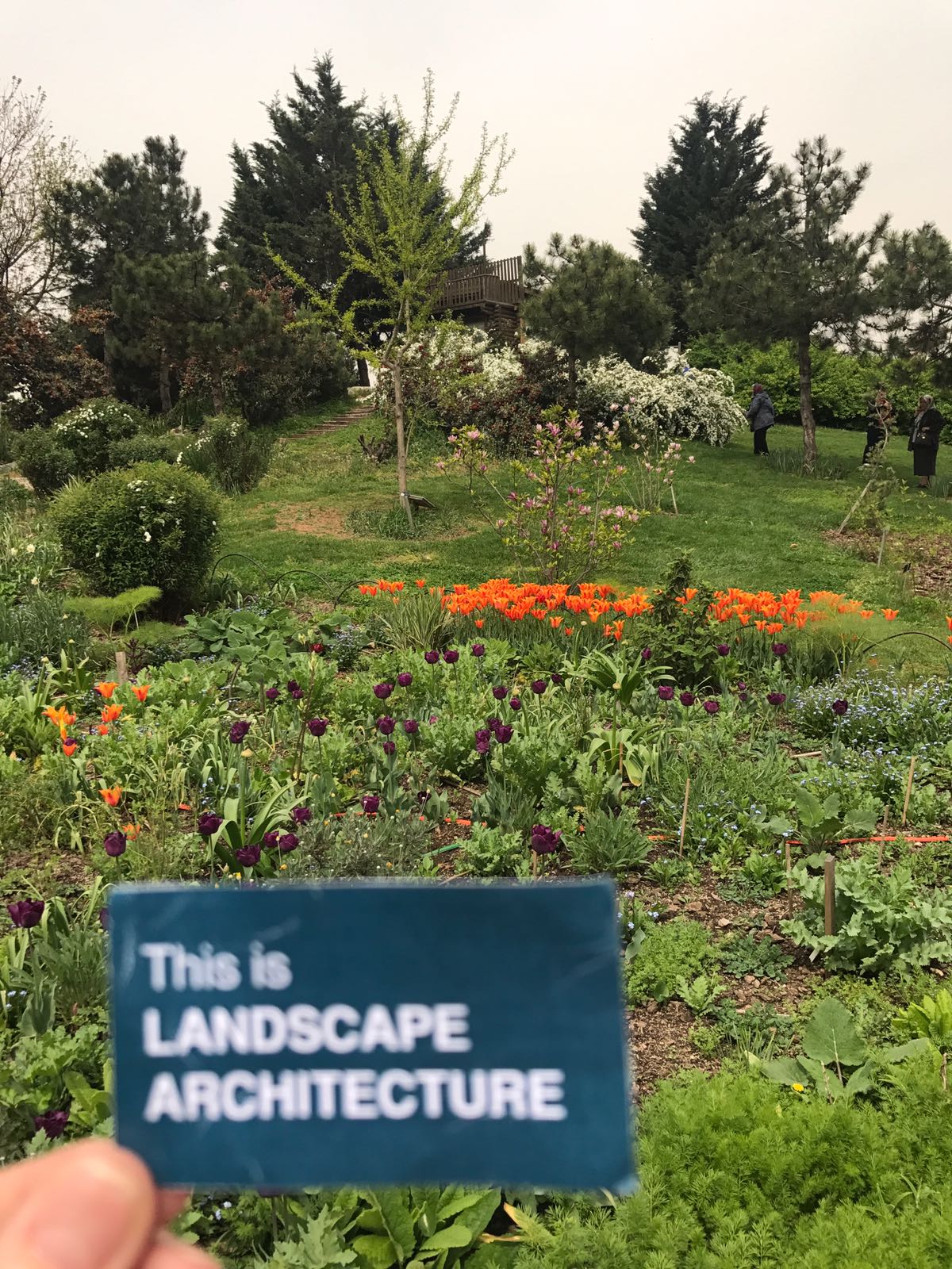 NEZAHAT GÖKYİĞİT BOTANİK BAHÇESİ GEZİMİZ…