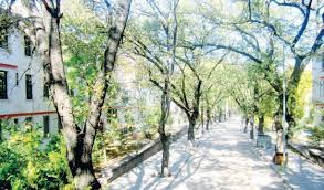 SARAÇOĞLU RANTA AÇILIYOR /BİRGÜN /  11.12.2018