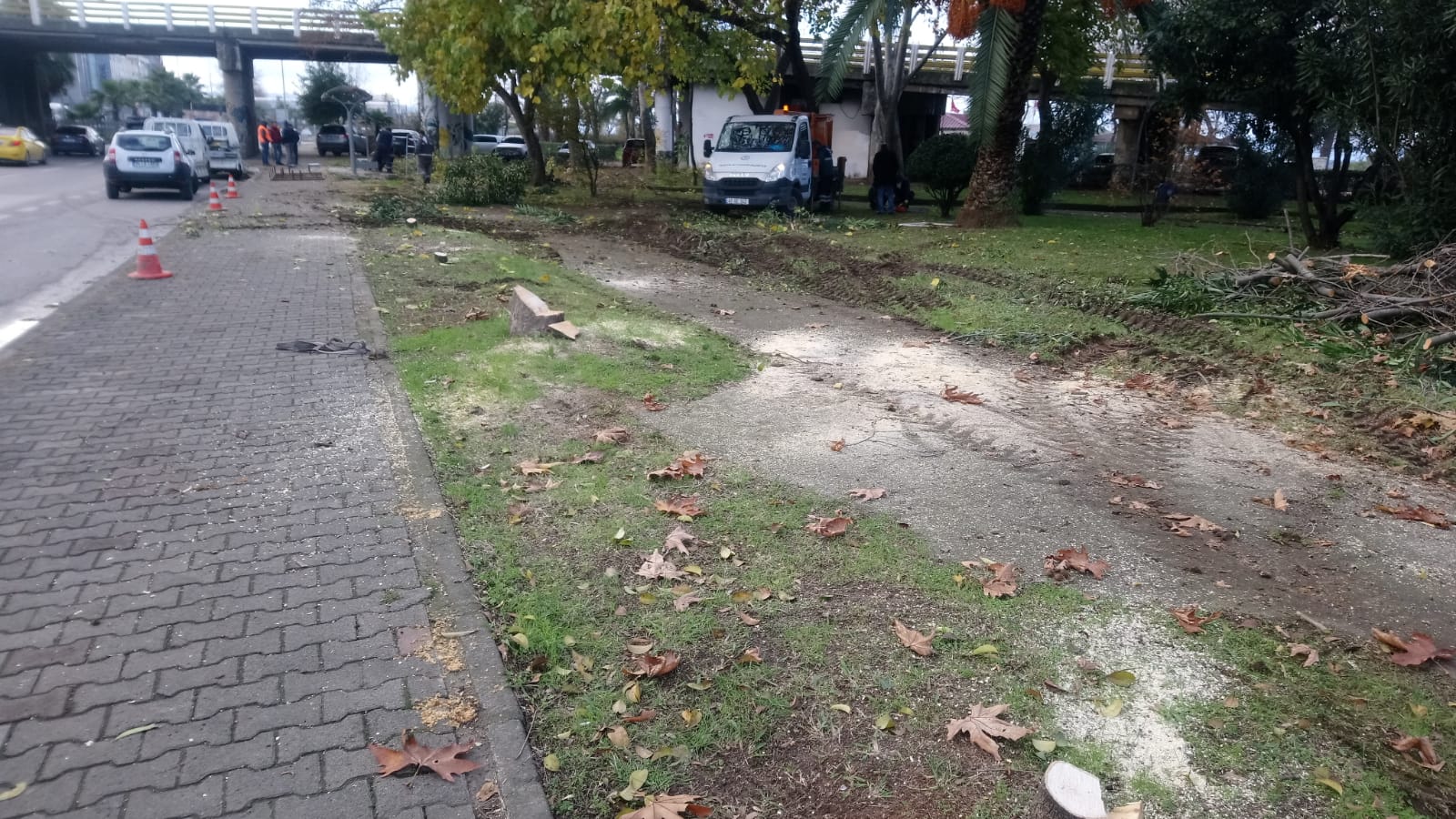 YOL VE OTOPARK GÜNÜMÜZDE ÖNEMLİ BİR İHTİYAÇ AMA BU İHTİYAÇ YEŞİL ALANLARDAN GİDERİLEMEZ.