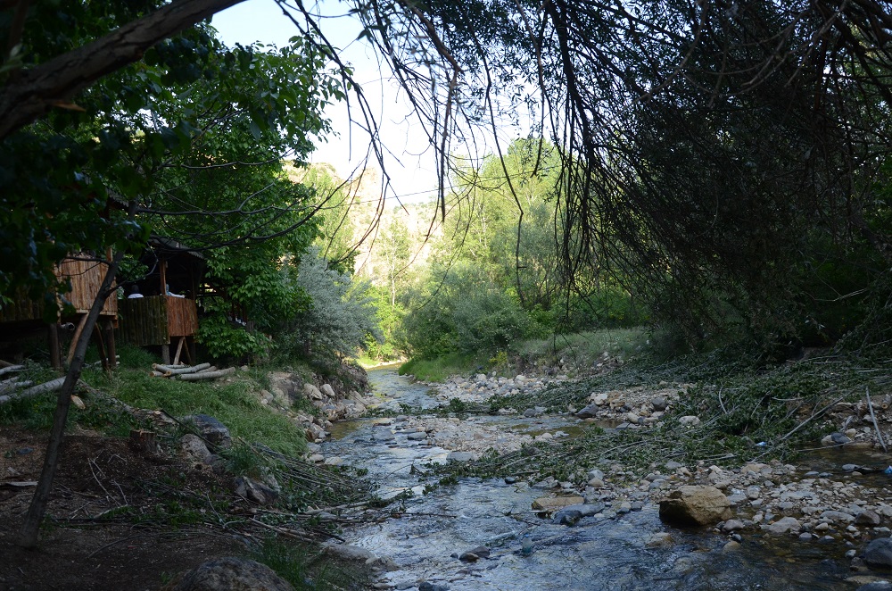 NALLIHAN KUŞ CENNETİ VE BEYPAZARI DOĞA GEZİSİ DÜZENLENDİ