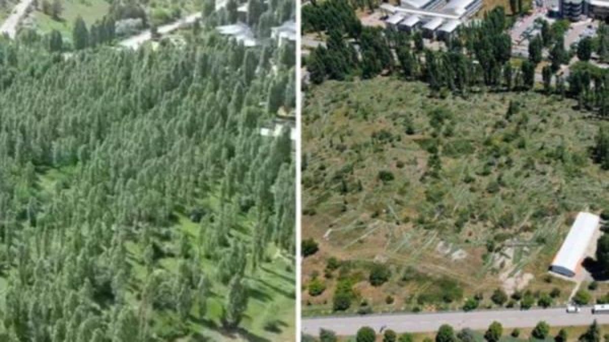 ODTÜ`YE YAPILAN HUKUKSUZ MÜDAHALE 