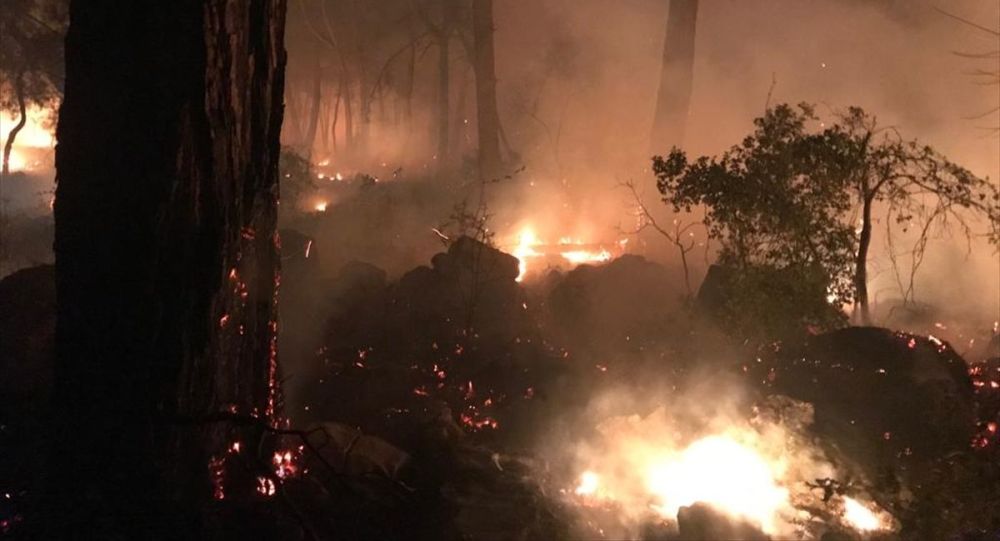 İHMAL VE RANT ORMANLARI KÜL ETMESİN!