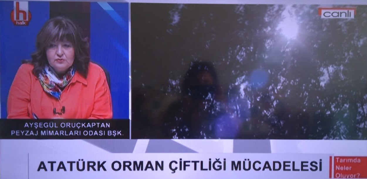 HALK TV- "TARIMDA NELER OLUYOR?" PROGRAMI KONUĞU ODA BAŞKANIMIZ AYŞEGÜL ORUÇKAPTAN 31.10.2019