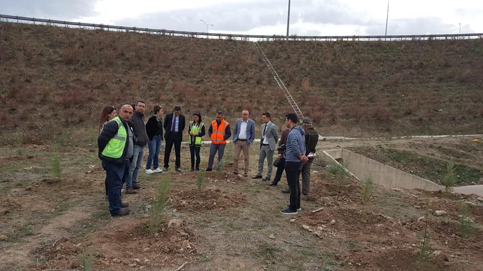 PEYZAJ MIMARLARI ODASI BURSA ŞUBE YÖNETIMI 11 MILYON AĞAÇ İÇİN BİR YÜREK OLDU.