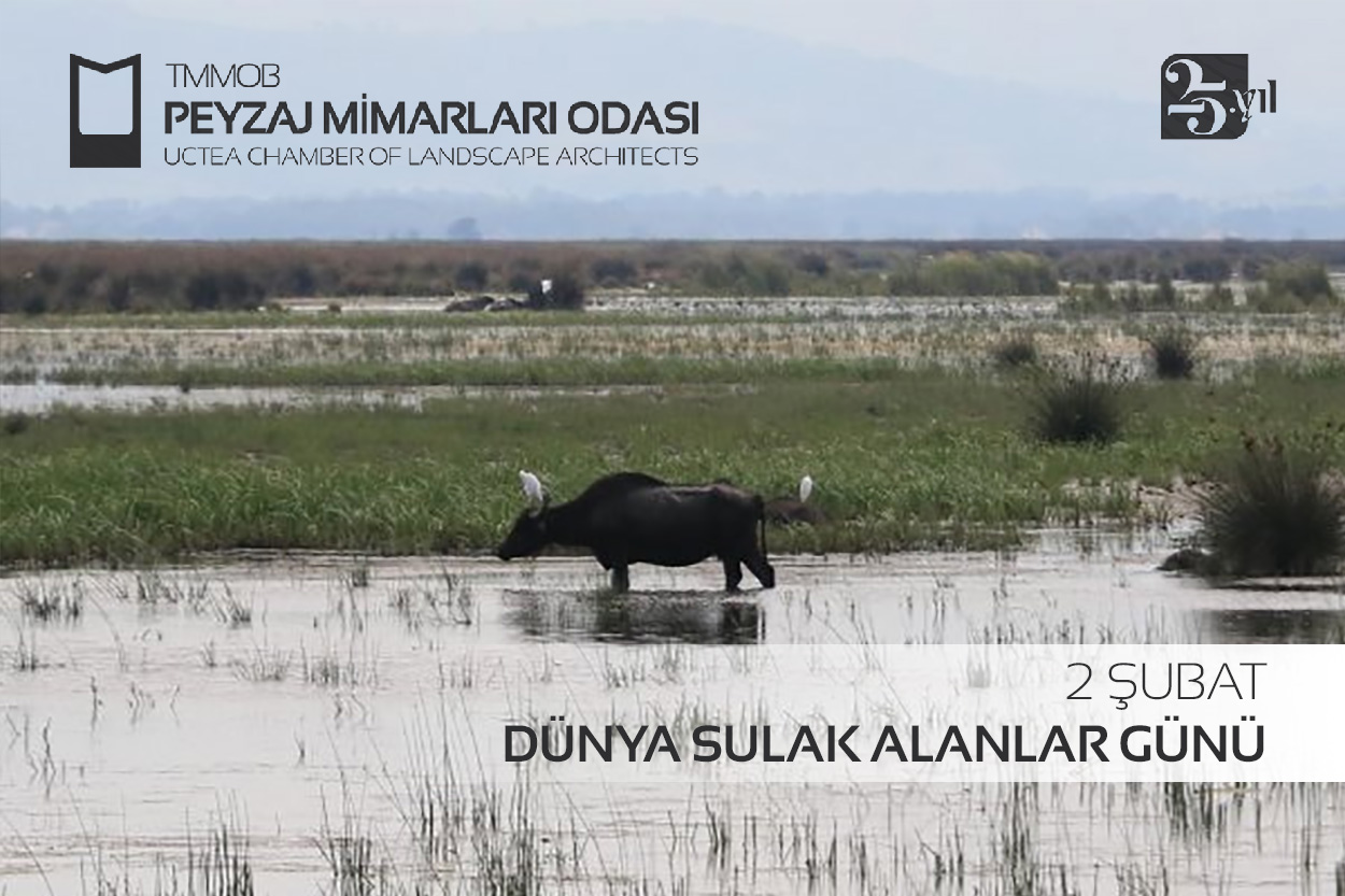 SULAK ALANLAR MUTLAK SURETLE KORUNMALIDIR!