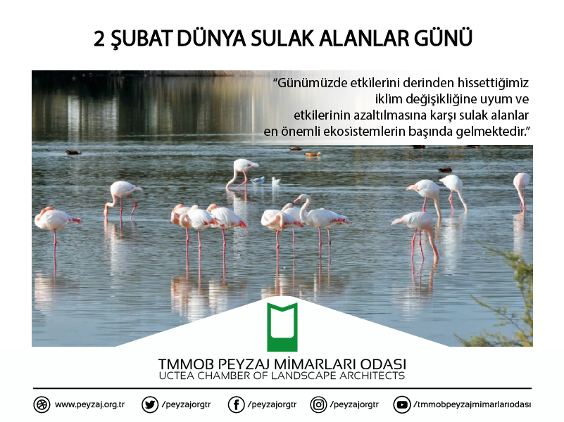 2 ŞUBAT DÜNYA SULAK ALANLAR GÜNÜ