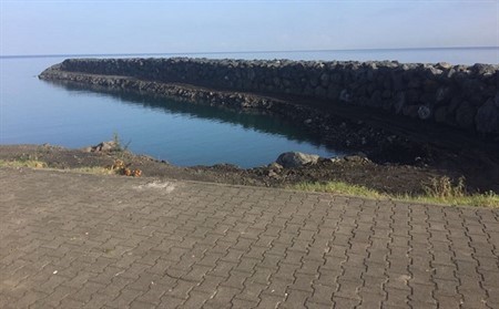 ÖLMEDEN GÖMMEYE ÇALIŞTIĞIMIZ KARADENİZ'İN DOLGULARLA MÜCADELESİ