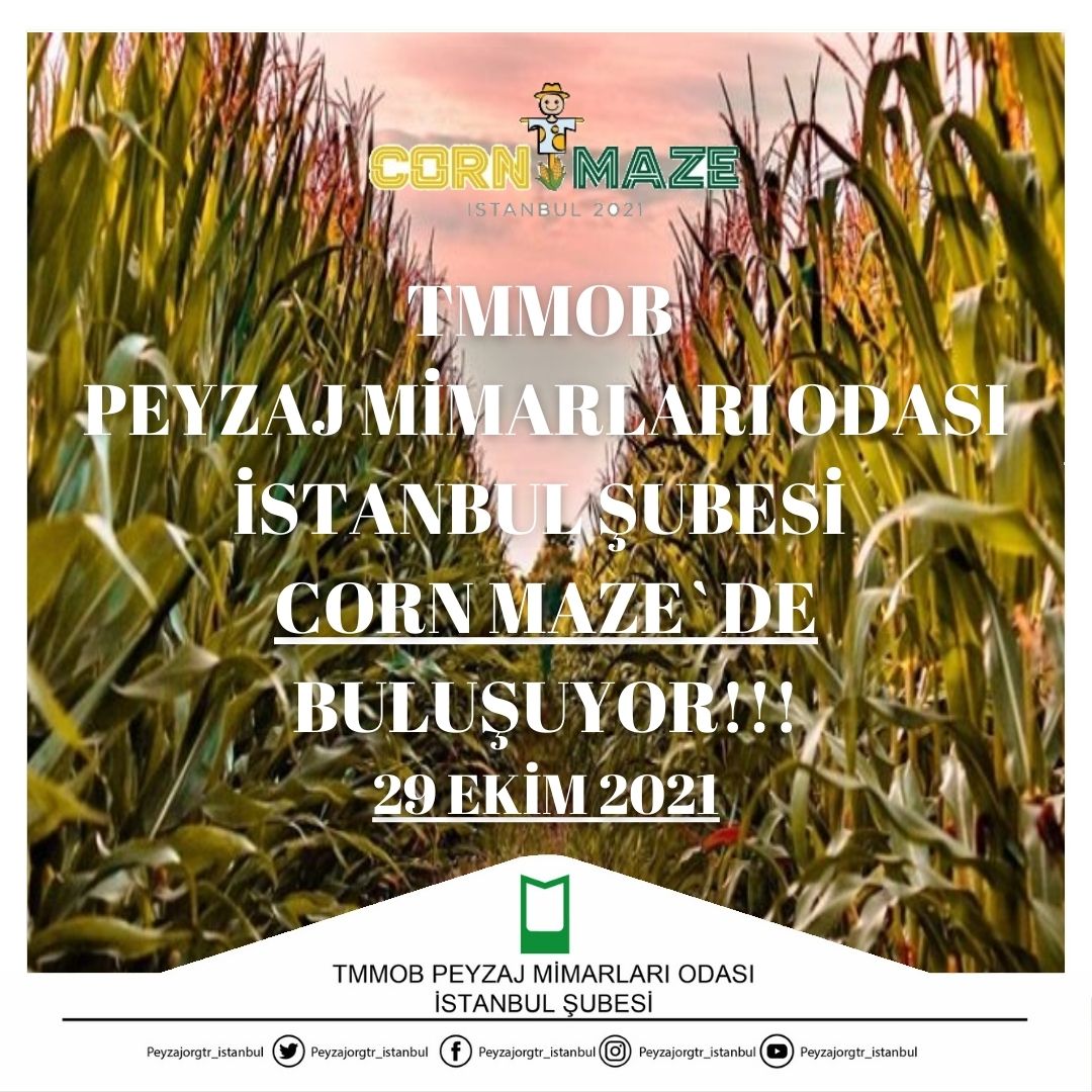 CORN MAZE İSTANBUL`DA BULUŞUYORUZ!!!