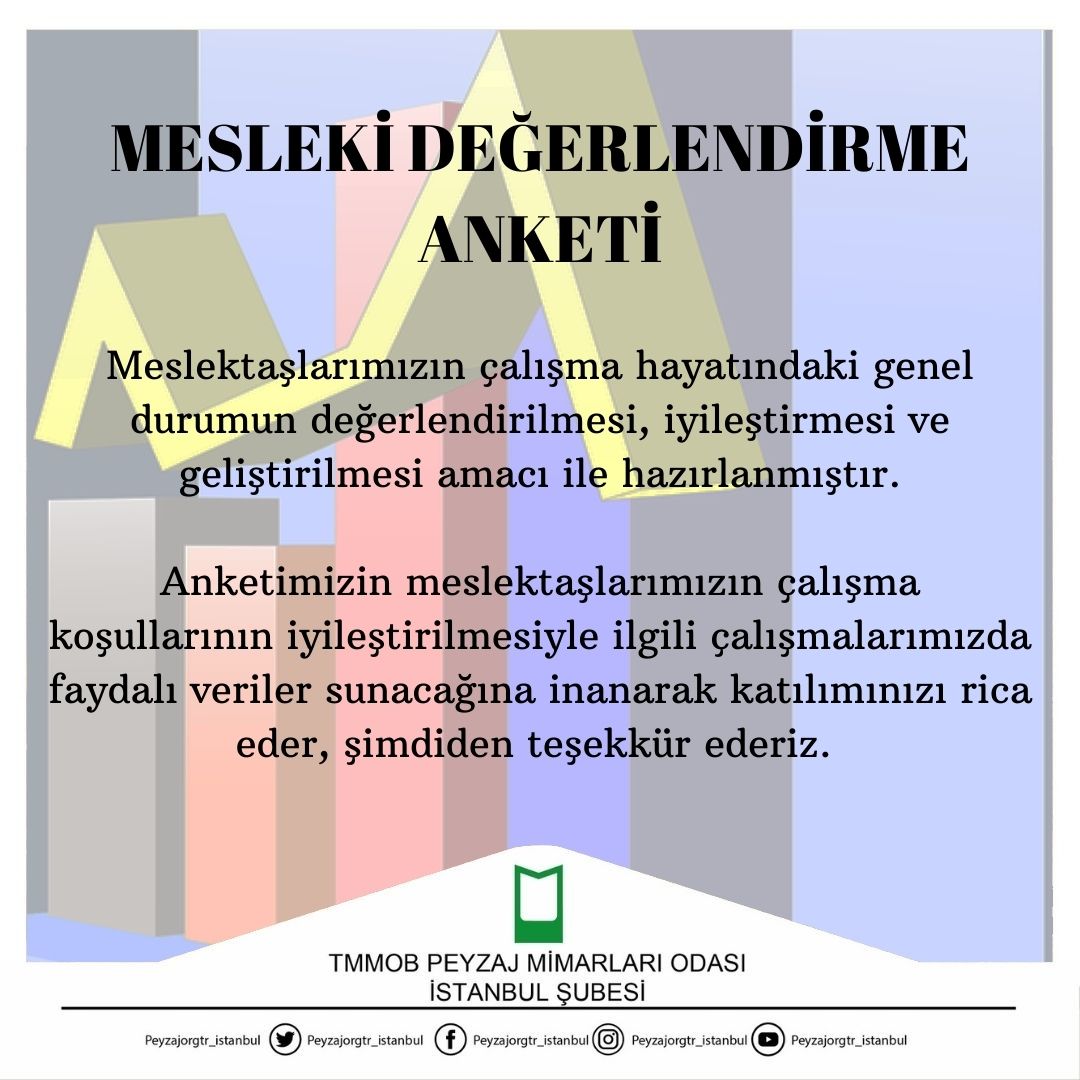MESLEKİ DEĞERLENDİRME ANKETİ