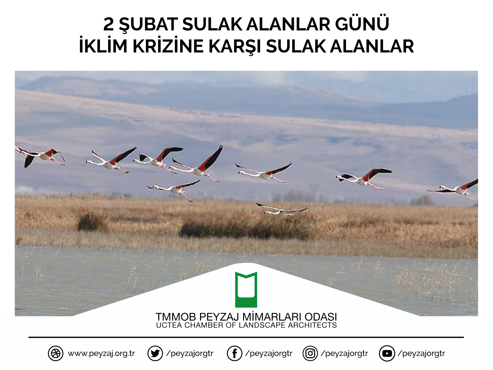 2 ŞUBAT SULAK ALANLAR GÜNÜ | İKLİM KRİZİNE KARŞI SULAK ALANLAR