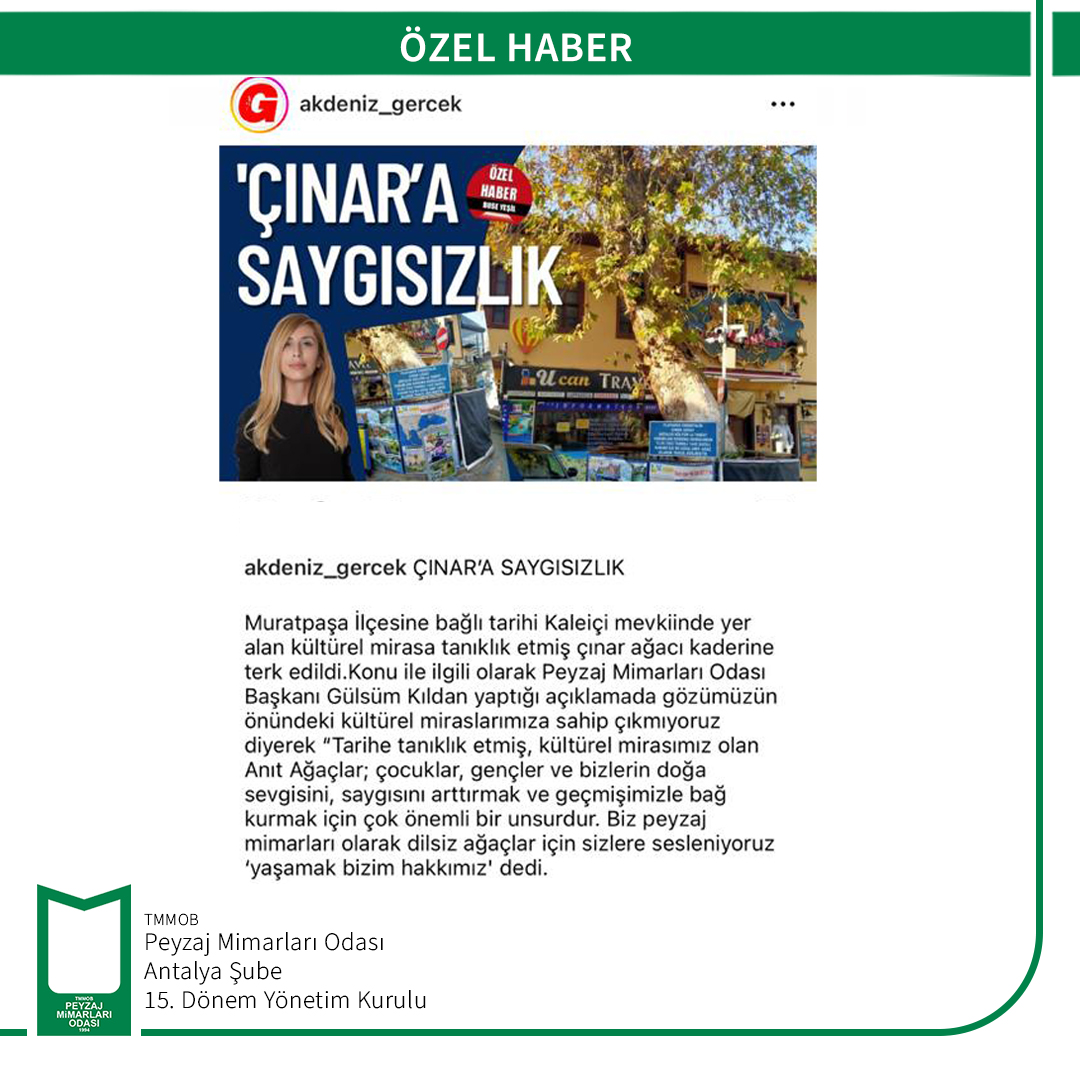 ÖZEL HABER "ÇINAR`A SAYGISIZLIK"