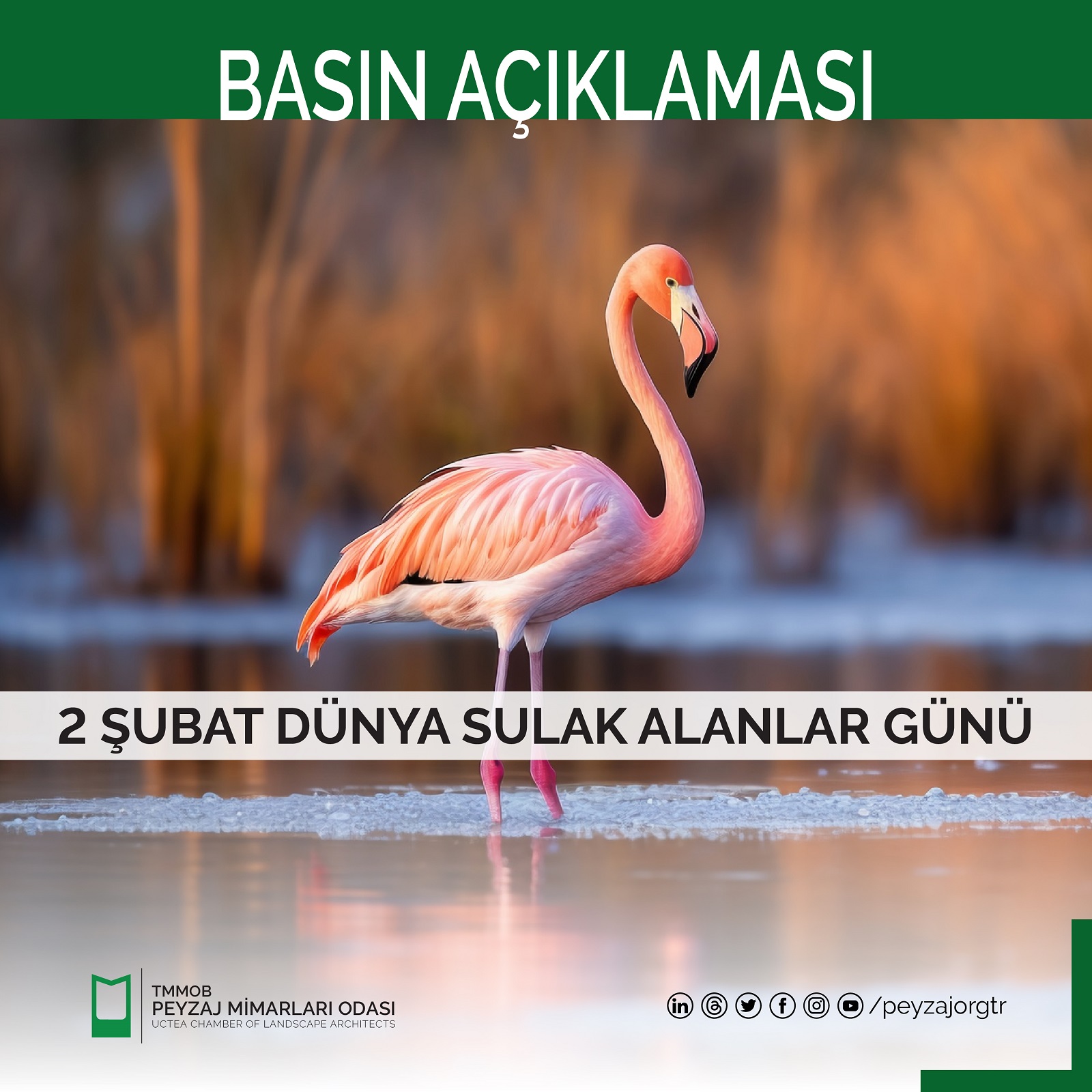 BASIN AÇIKLAMASI | 2 ŞUBAT DÜNYA SULAK ALANLAR GÜNÜ