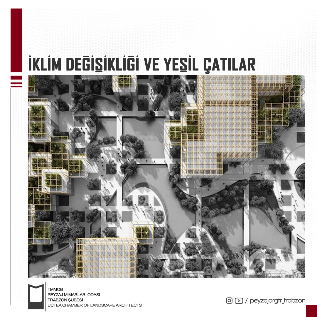 BASIN AÇIKLAMASI | İKLİM DEĞİŞİKLİĞİ VE YEŞİL ÇATILAR