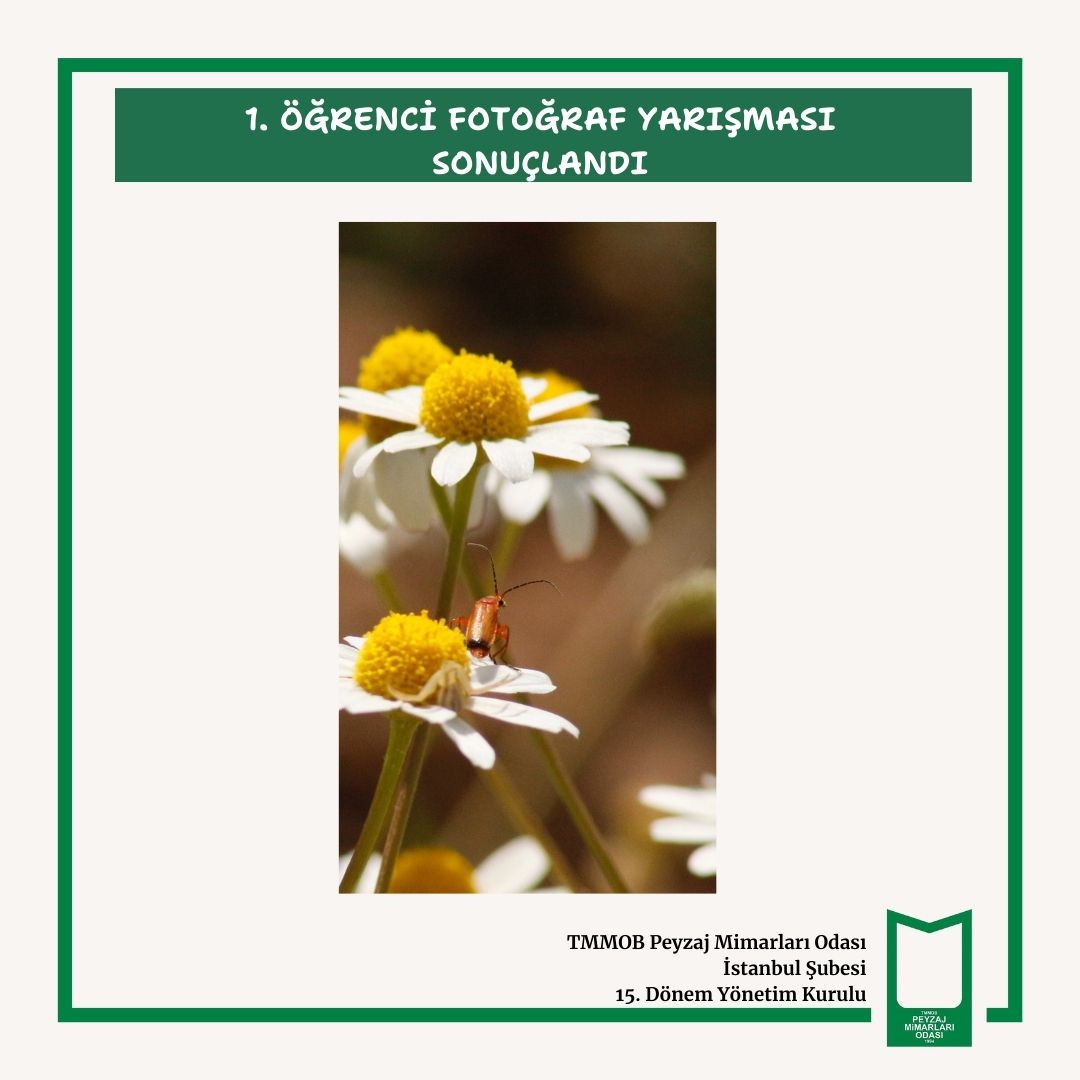 1. ÖĞRENCİ FOTOĞRAF YARIŞMASI SONUÇLANDI