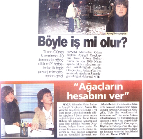 SABAH ANKARA 06.02.2007 "AĞAÇLARIN HESABINI VER"
