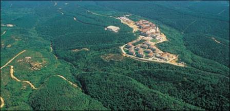 ORMAN KANUNU 2B ARAZİLERİ SUÇ DUYURUSU