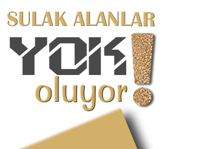 2 ŞUBAT DÜNYA SULAK ALANLAR GÜNÜ